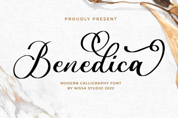 Benedica Handwritten Font: A Designer's Real Branding Test