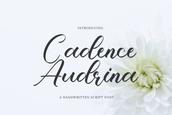 Cadence Audrina: A Graceful Script Font for Intentional Editorial Design