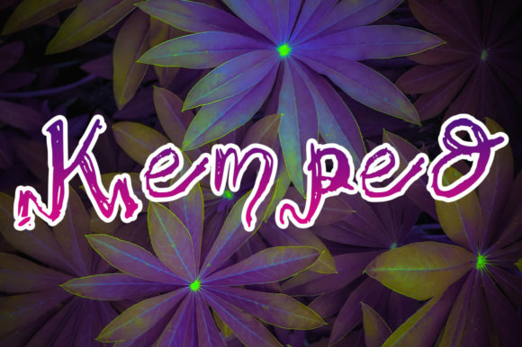 Kemped: A Handwritten Font That Brings Editorial Warmth to Any Layout